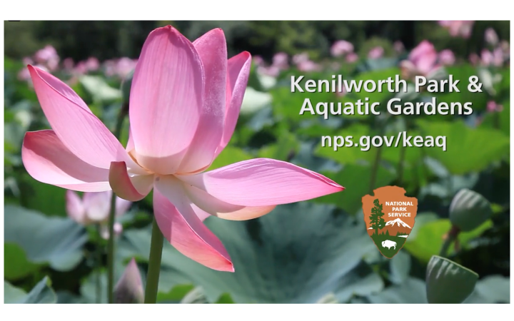 Screen Shot 2016-08-13 at 11.28.07 PM